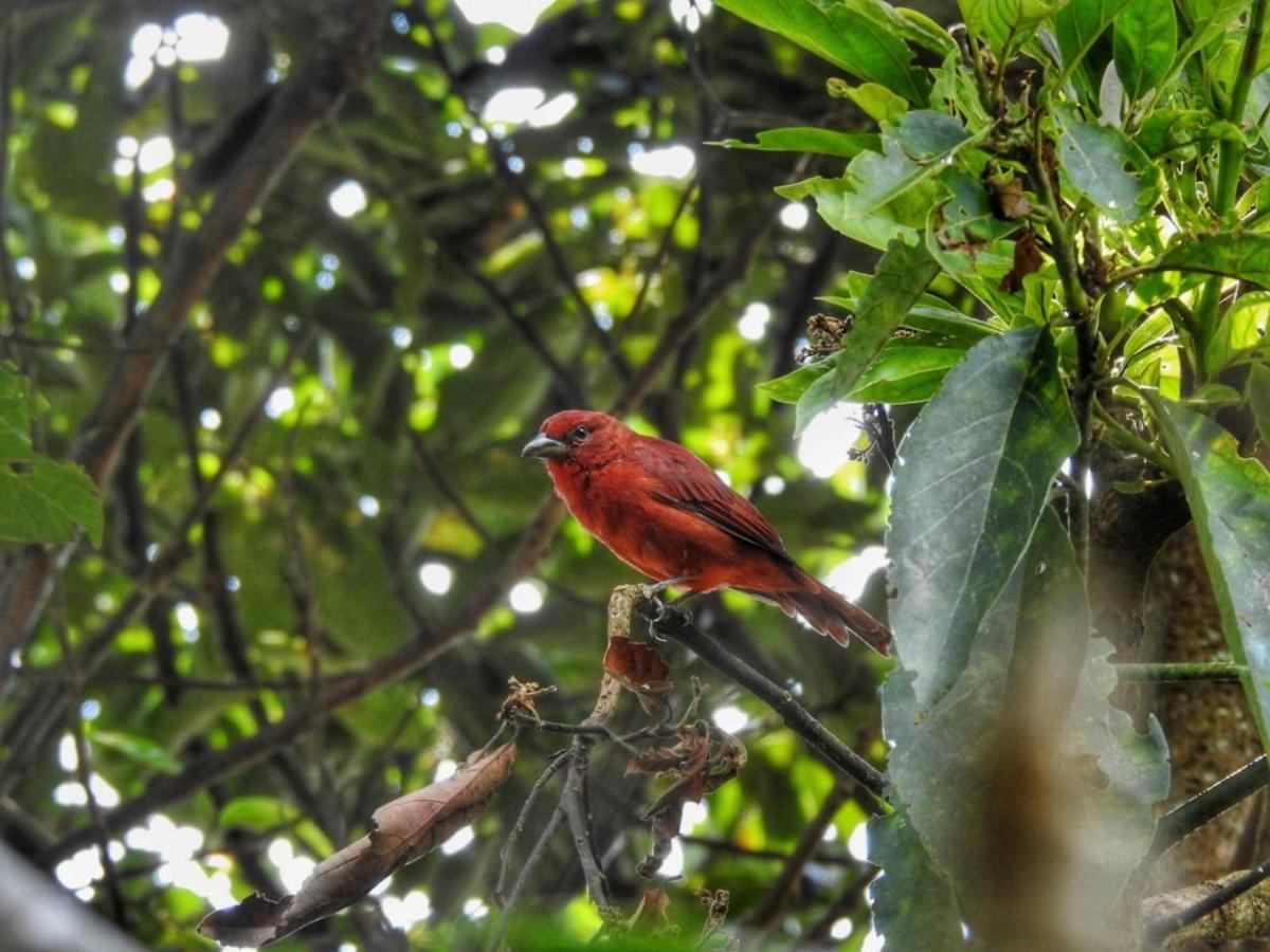 Ecofinca Salento Ngoại thất bức ảnh