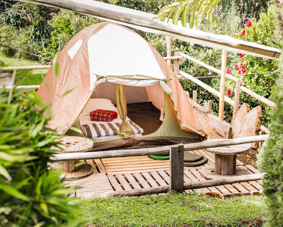 Ecofinca Salento Ngoại thất bức ảnh