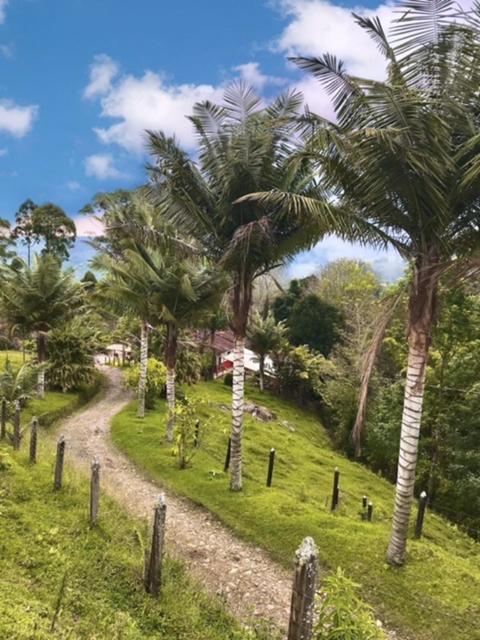 Ecofinca Salento Ngoại thất bức ảnh