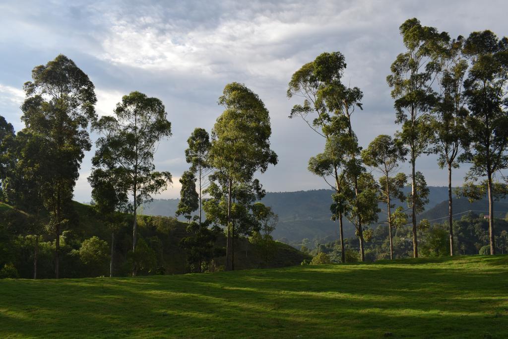Ecofinca Salento Ngoại thất bức ảnh